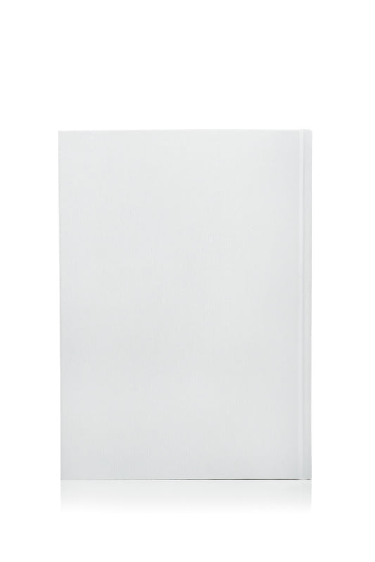 AROUND THE SUN JOURNAL