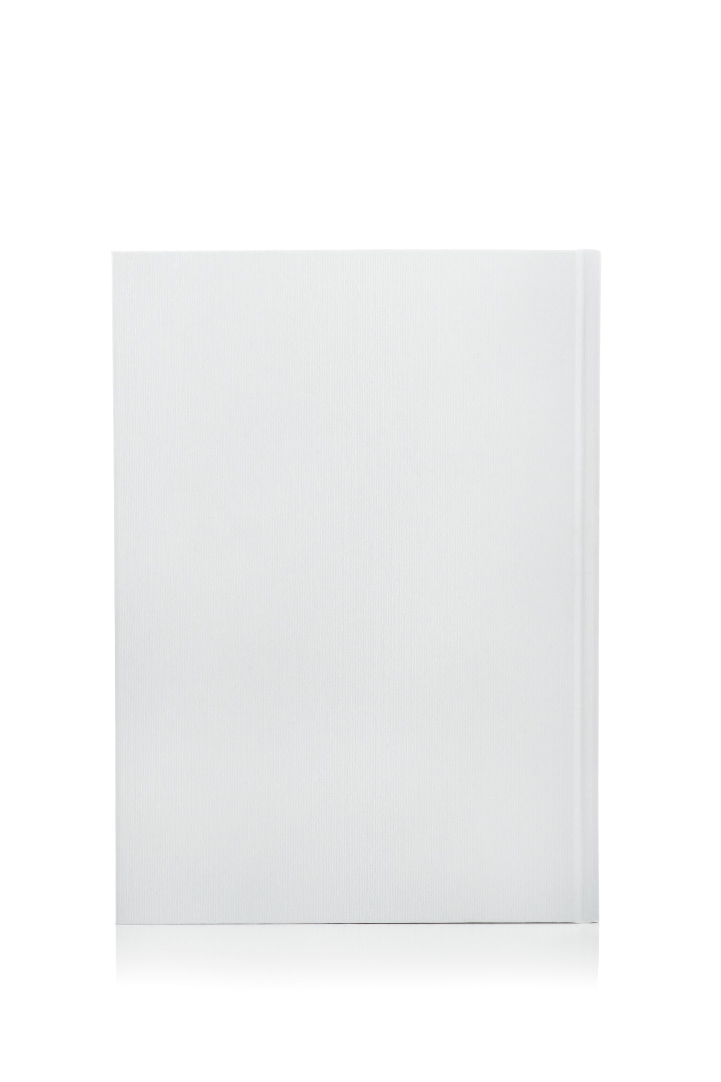 AROUND THE SUN JOURNAL